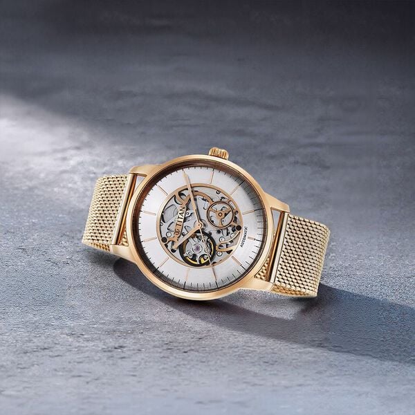 Titan Skeletal Automatic -NT90110wm01